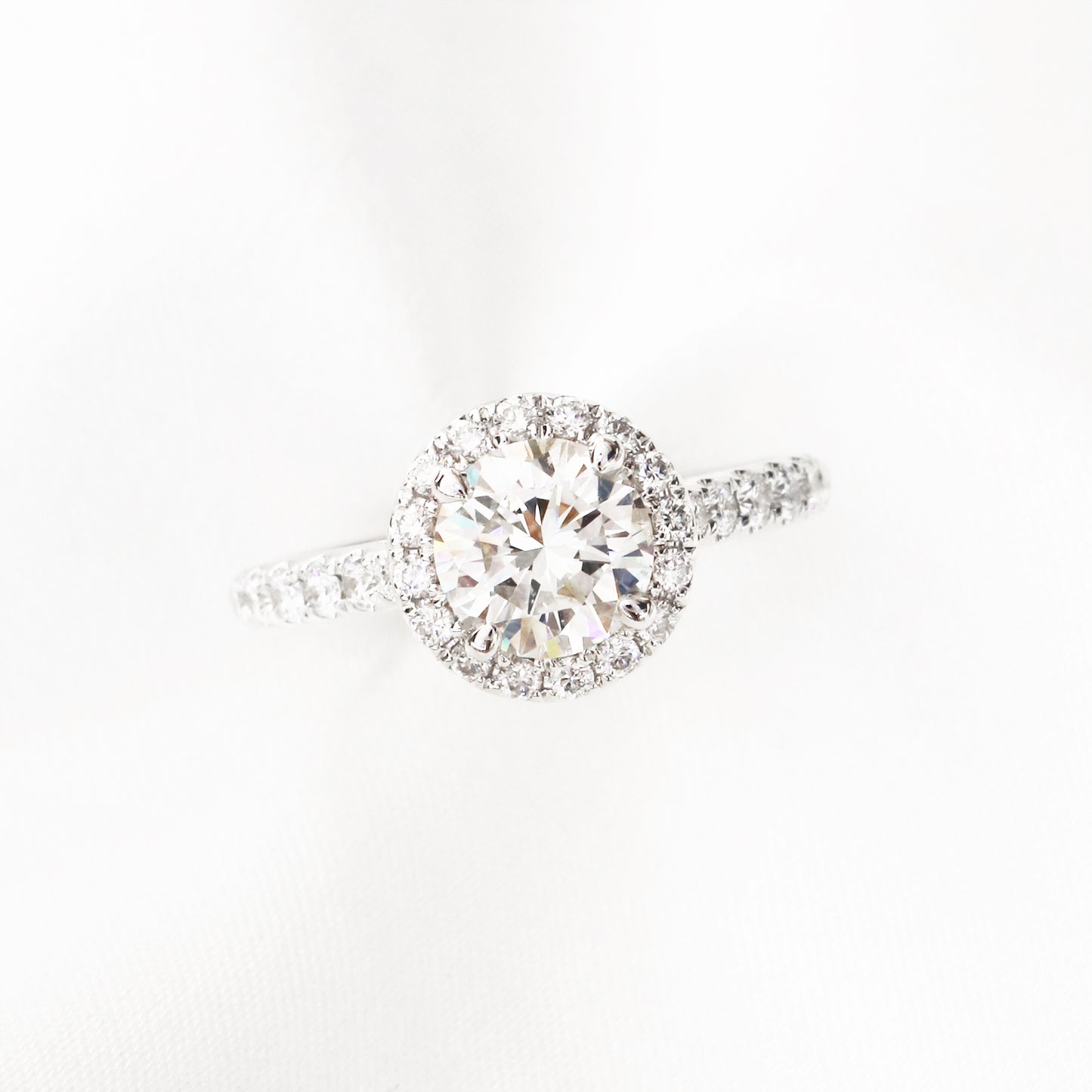 Dandelion Halo 18k White Gold Dandelion Halo 4-Prong Halo Round Brilliant Diamond Engagement Ring Setting 18k白金四爪圍鑽求婚鑽石戒指款式