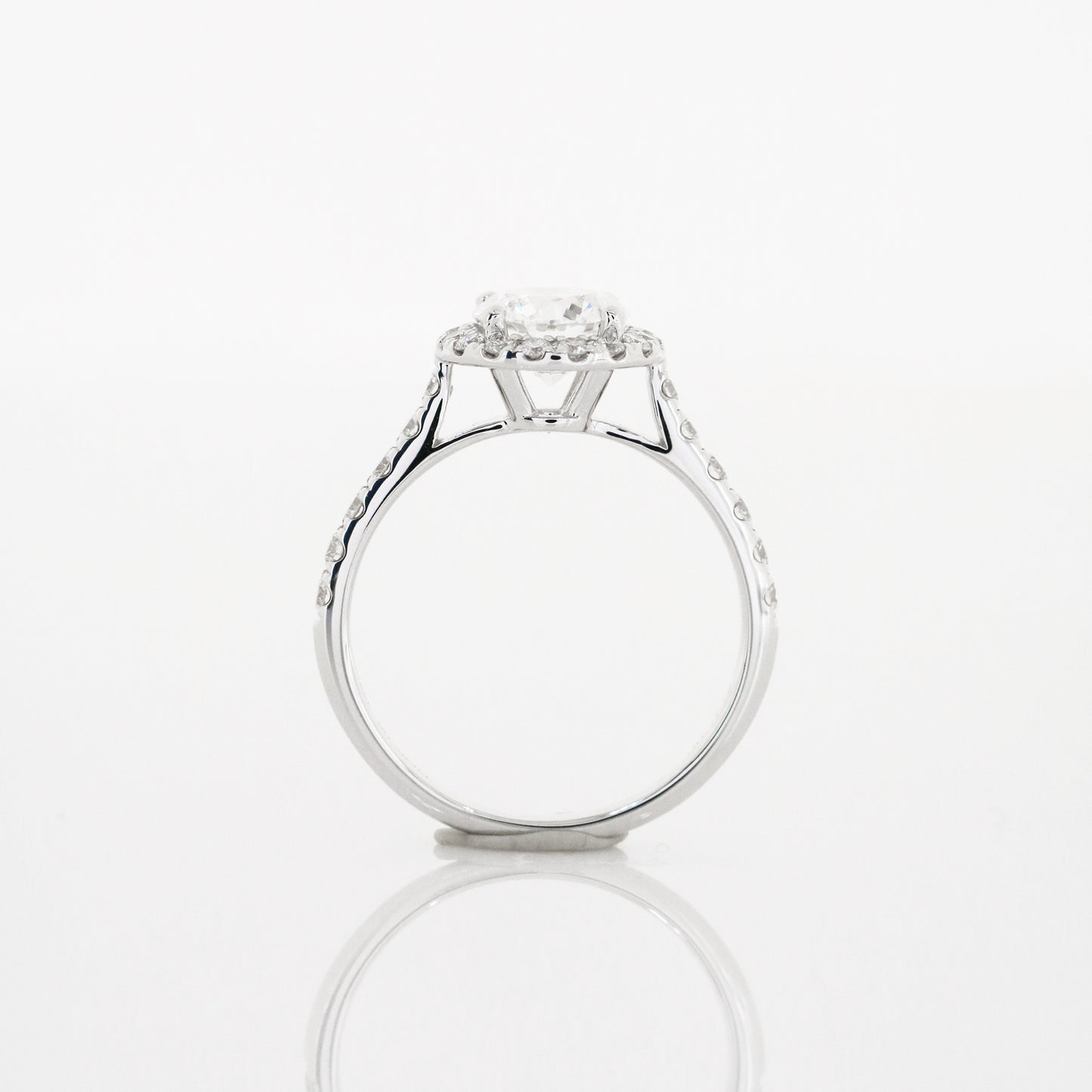 Dandelion Halo 18k White Gold Dandelion Halo 4-Prong Halo Round Brilliant Diamond Engagement Ring Setting 18k白金四爪圍鑽求婚鑽石戒指款式