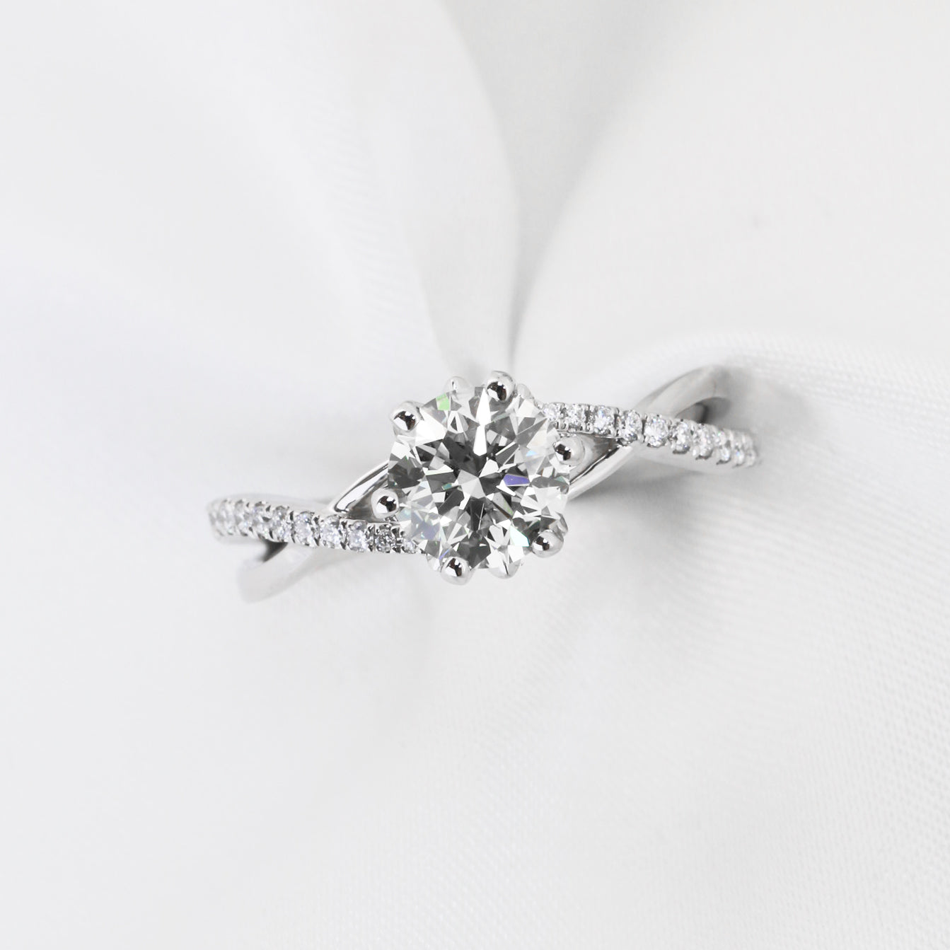 Gypsophila Eternity