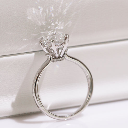 Gardenia Hidden Halo