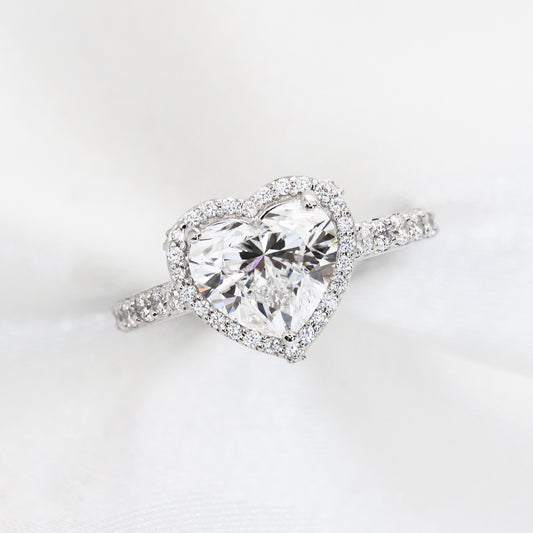 Dandelion Deluxe Halo