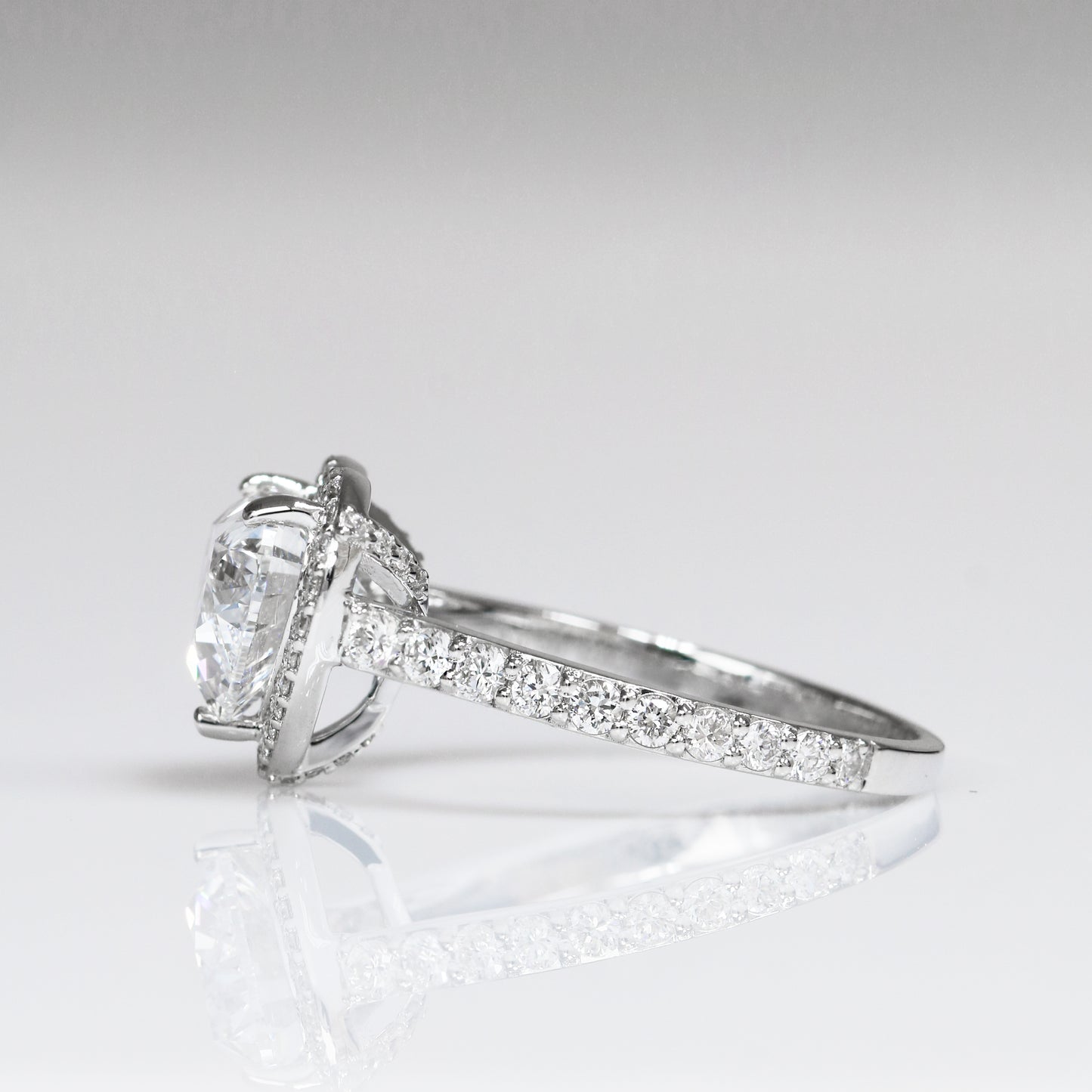 Dandelion Deluxe Halo