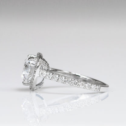 Dandelion Deluxe Halo