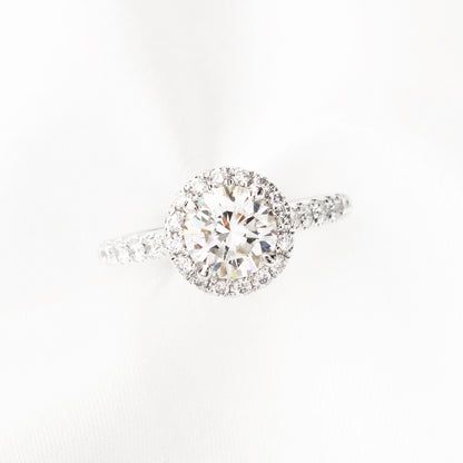 Dandelion Halo 18k White Gold Dandelion Halo 4-Prong Halo Round Brilliant Diamond Engagement Ring Setting 18k白金四爪圍鑽求婚鑽石戒指款式