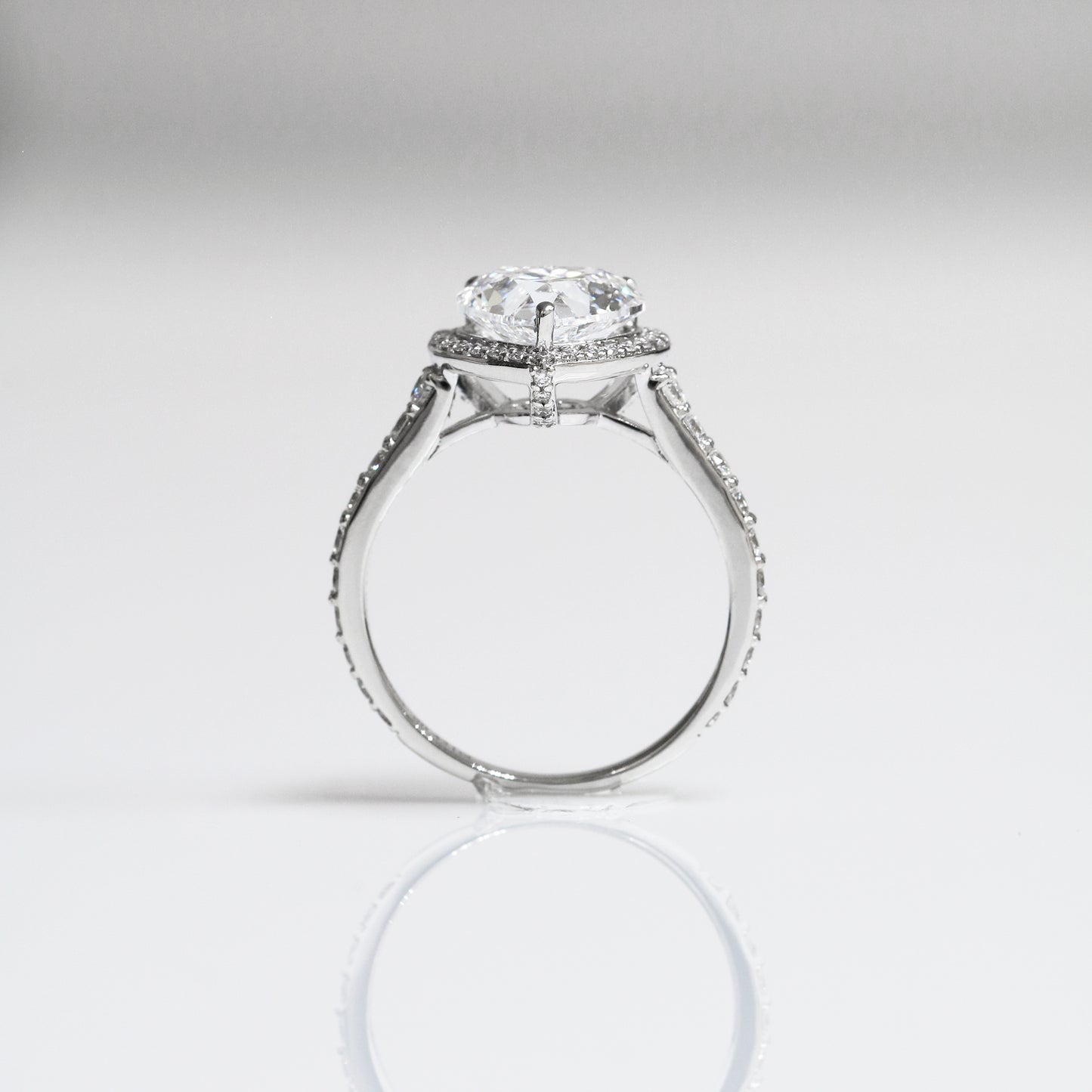 Dandelion Deluxe Halo