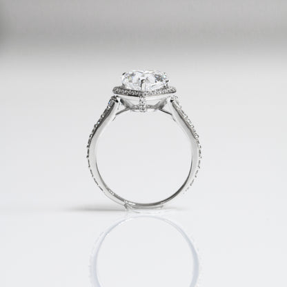 Dandelion Deluxe Halo