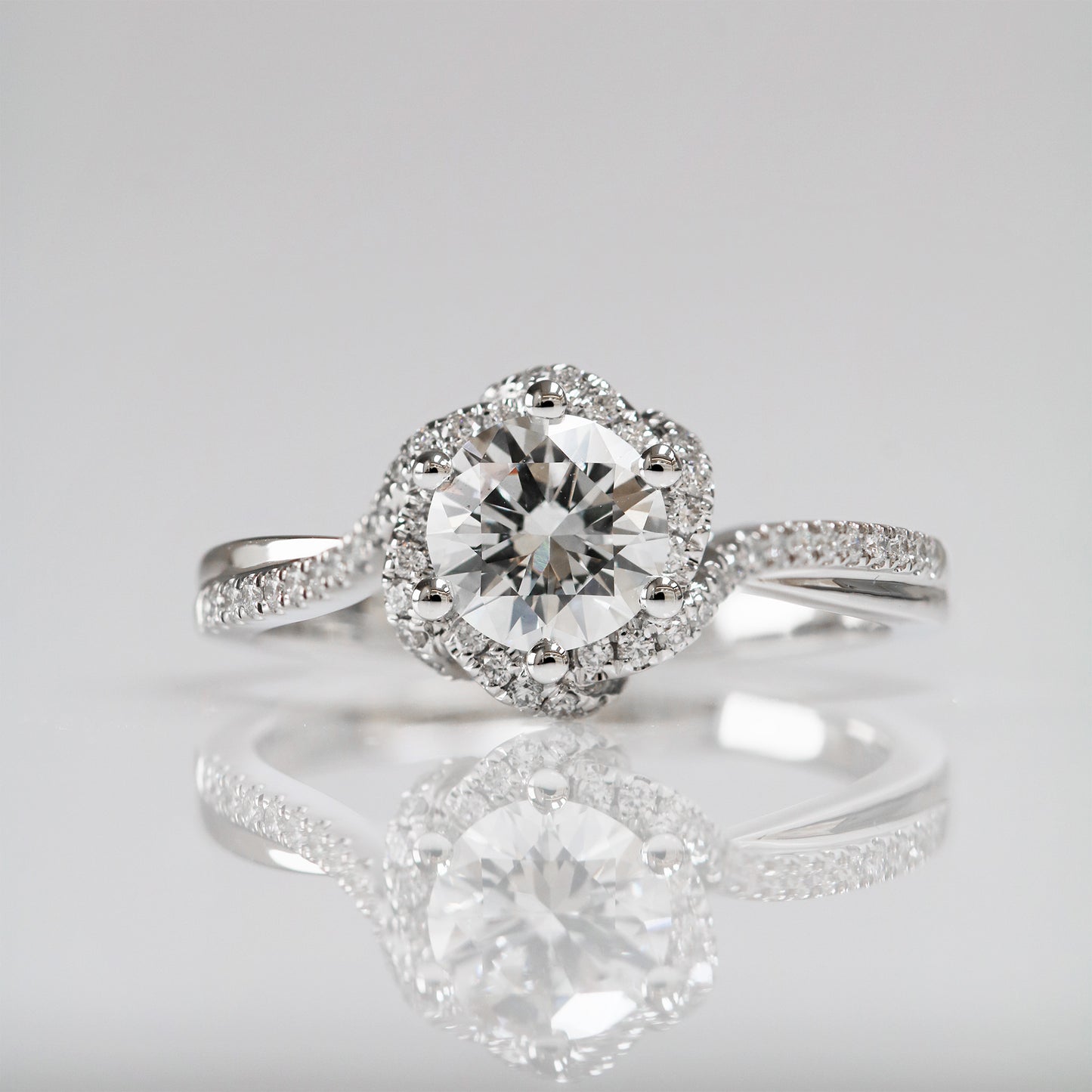Rosa Halo
