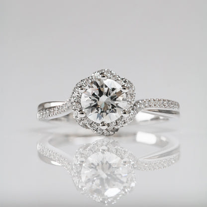 Rosa Halo