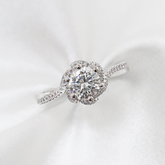 Rosa Halo
