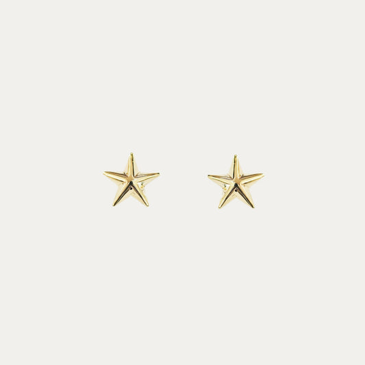 18k Yellow Gold Star Earrings, Pair