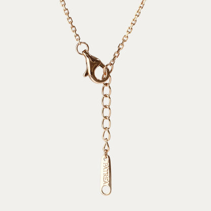 Gold necklace with a pendant on a gray background