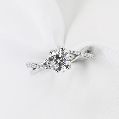 Gypsophila Eternity