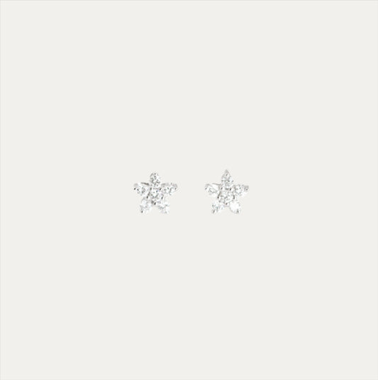18k White Gold 0.14ct Flower Diamond Earrings 18k白金花形鑽石耳環