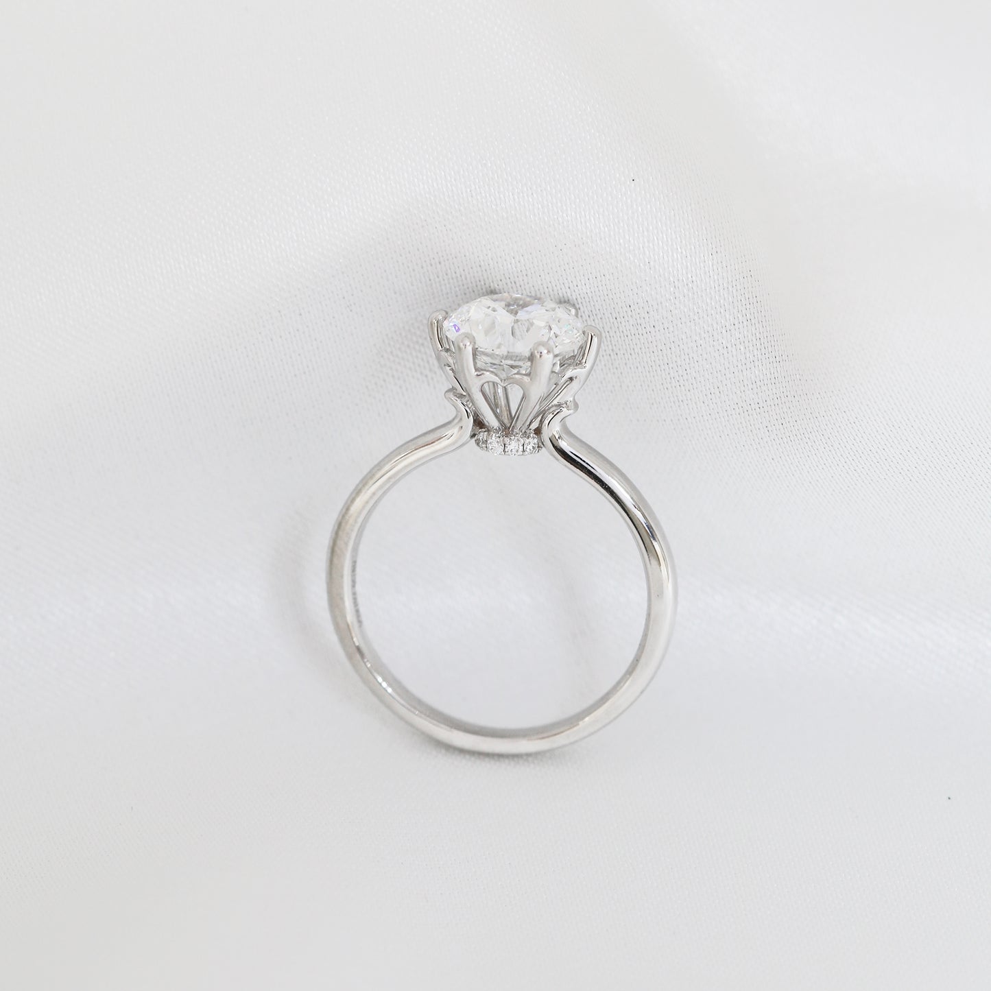 Gardenia Hidden Halo