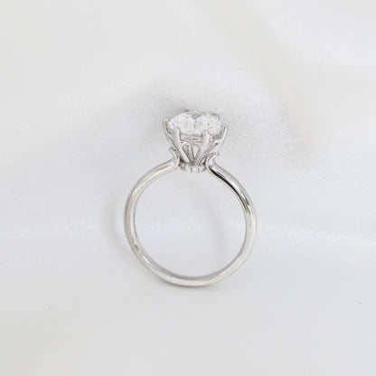 Gardenia Hidden Halo