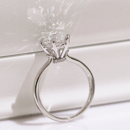 Gardenia Hidden Halo