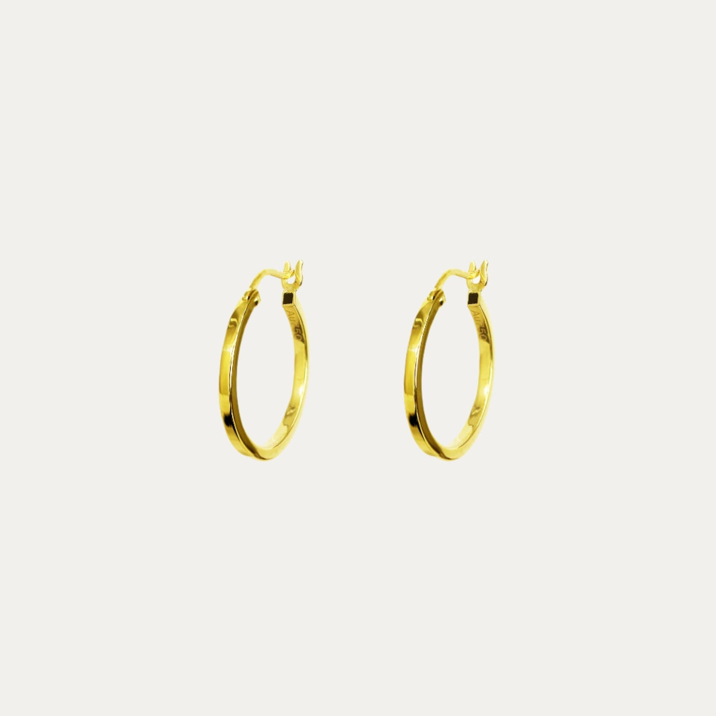 Casey Hoop Earrings, Pair